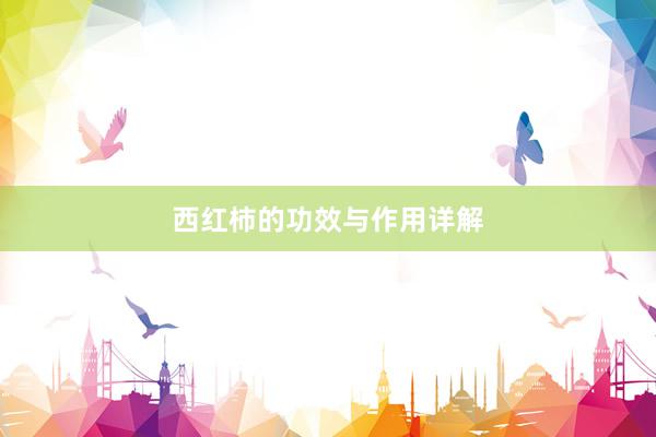 西红柿的功效与作用详解